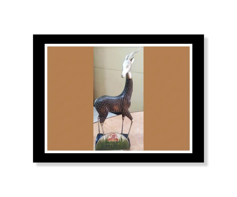 Bronze Award All India ranking