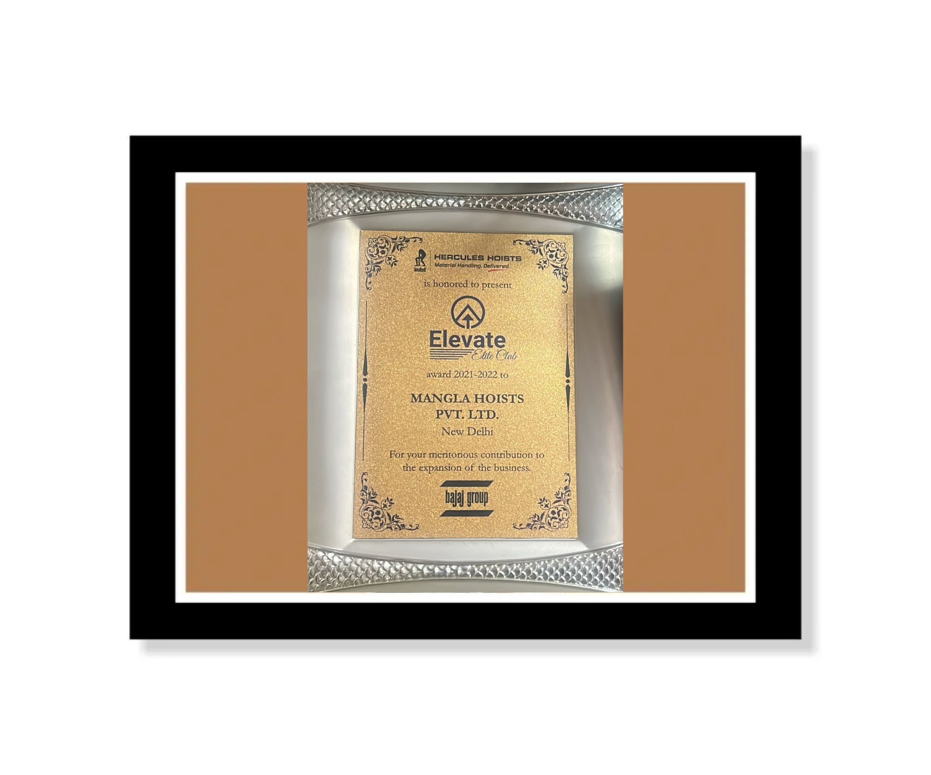 Best Performance for Indef Products award