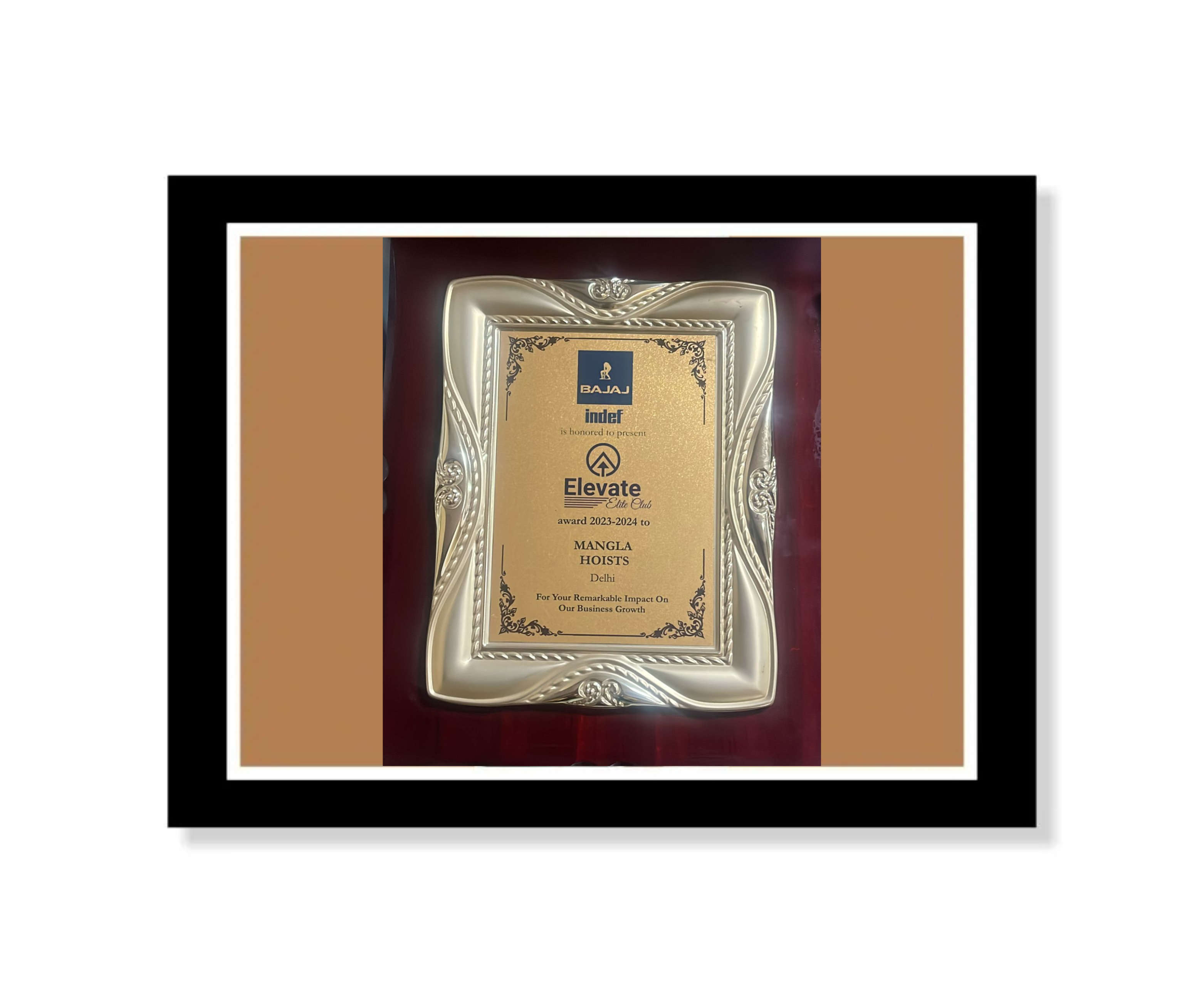 Best Performance for Indef Products award