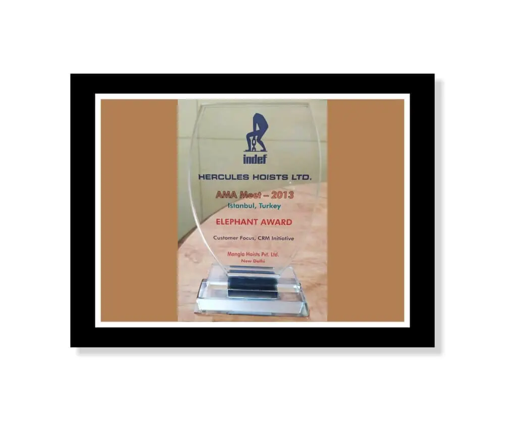 Elephant Award for Customer Focus