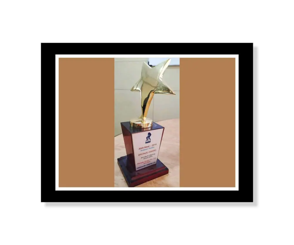 Bronze Award for Annual Sales MMA Meet